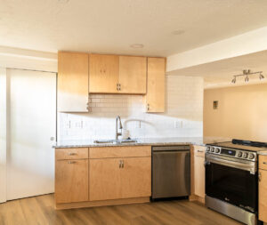 Modern Basement Kitchen